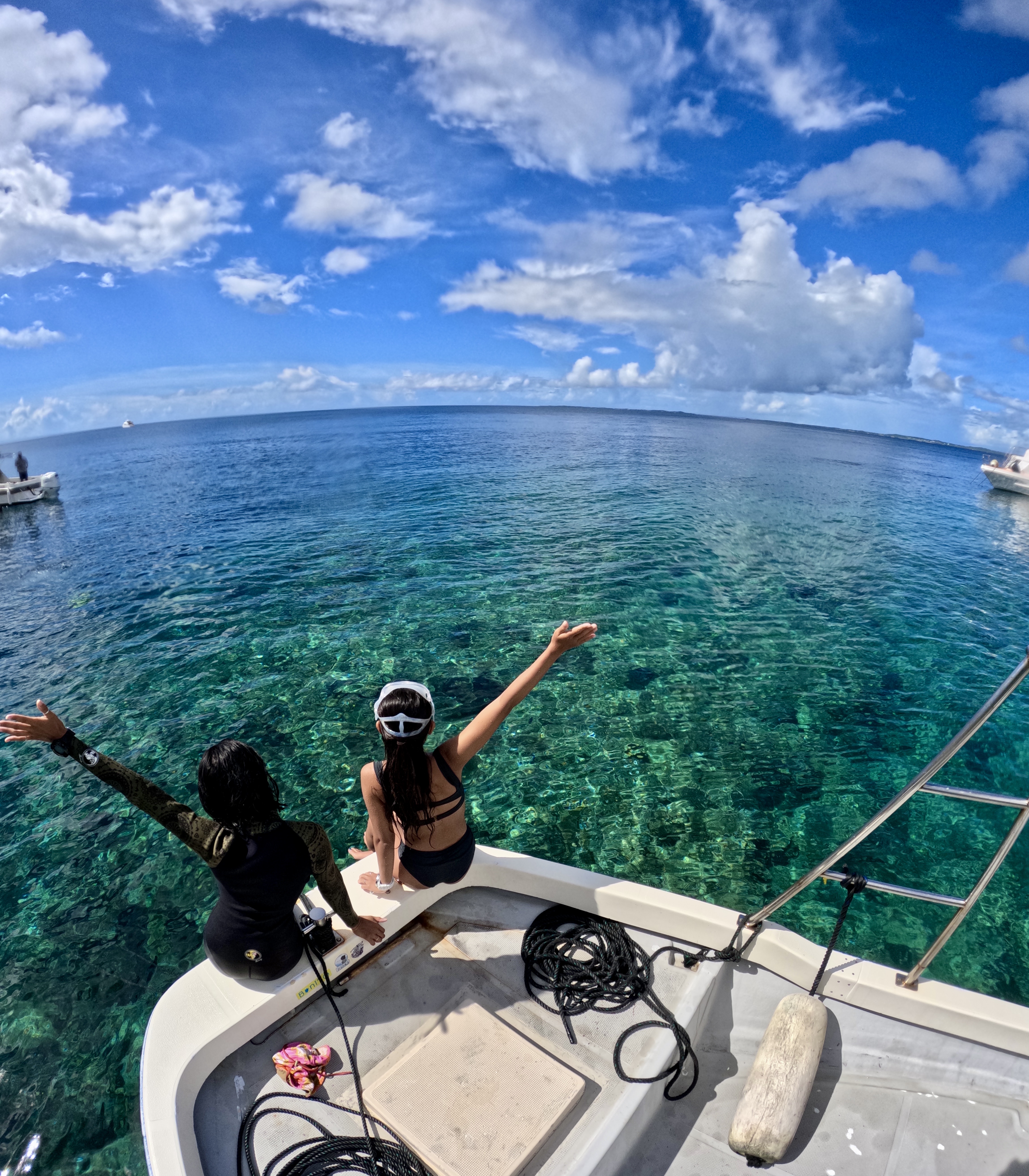 アクティビティ