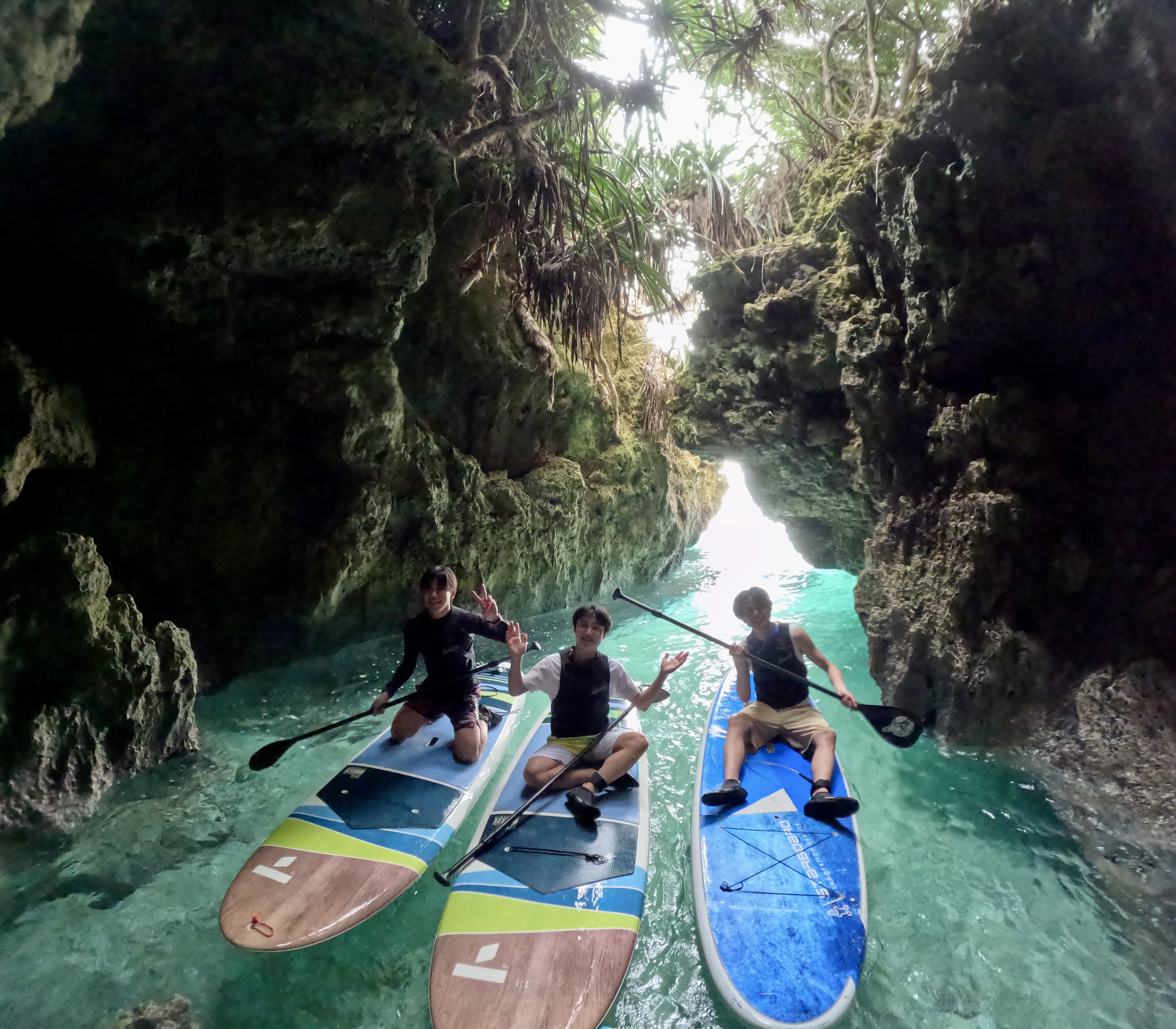 アクティビティ