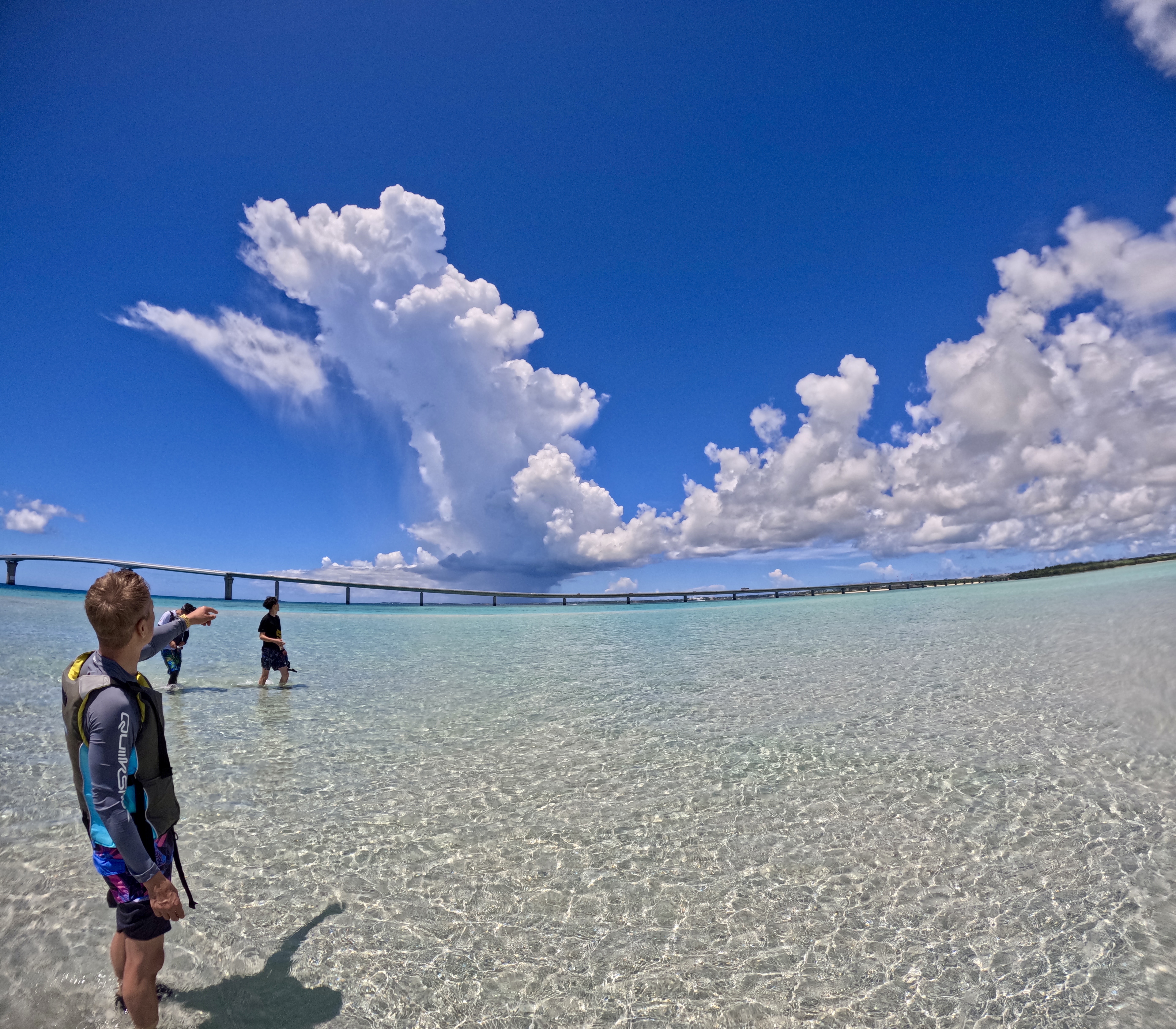 アクティビティ