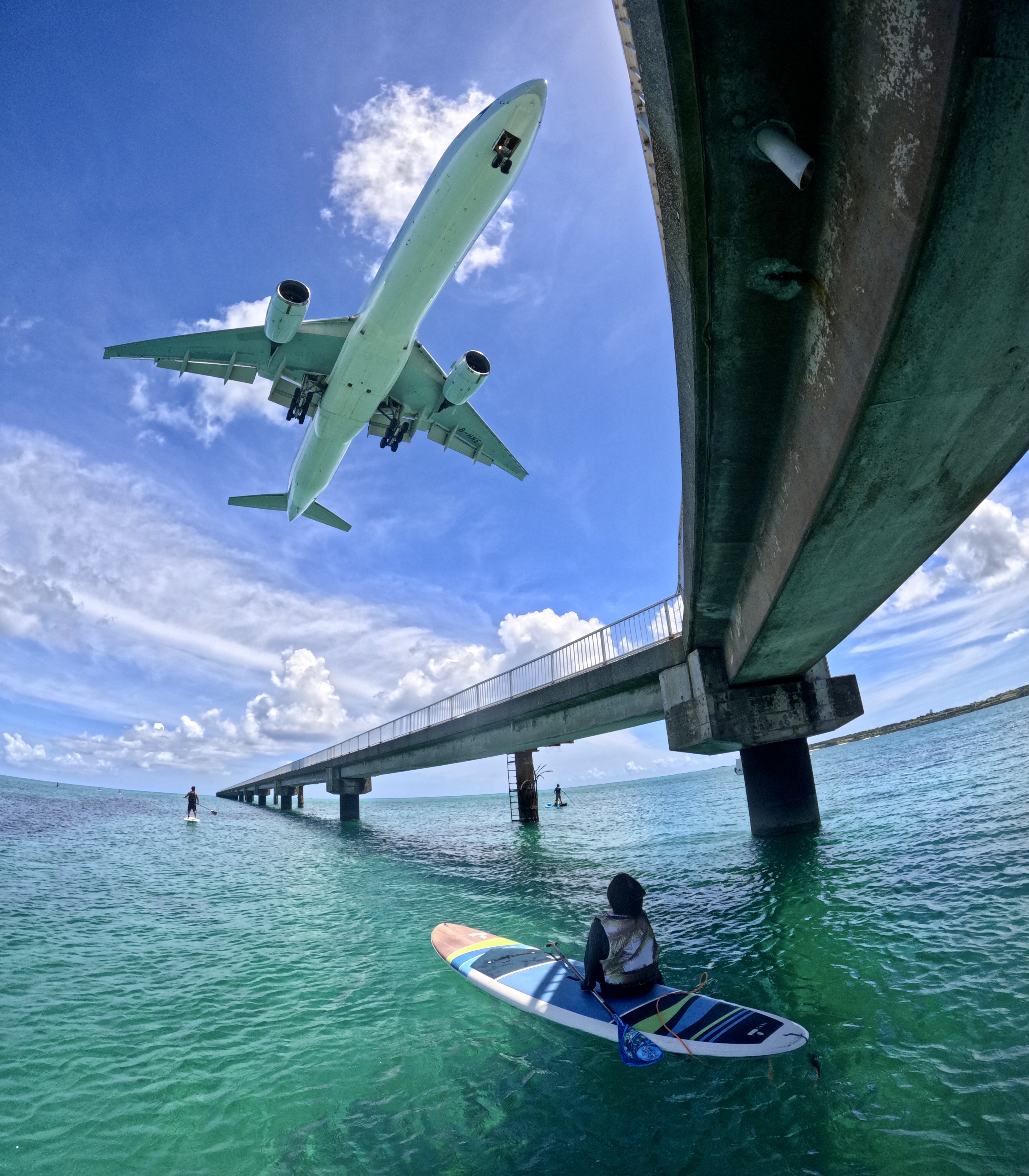 アクティビティ