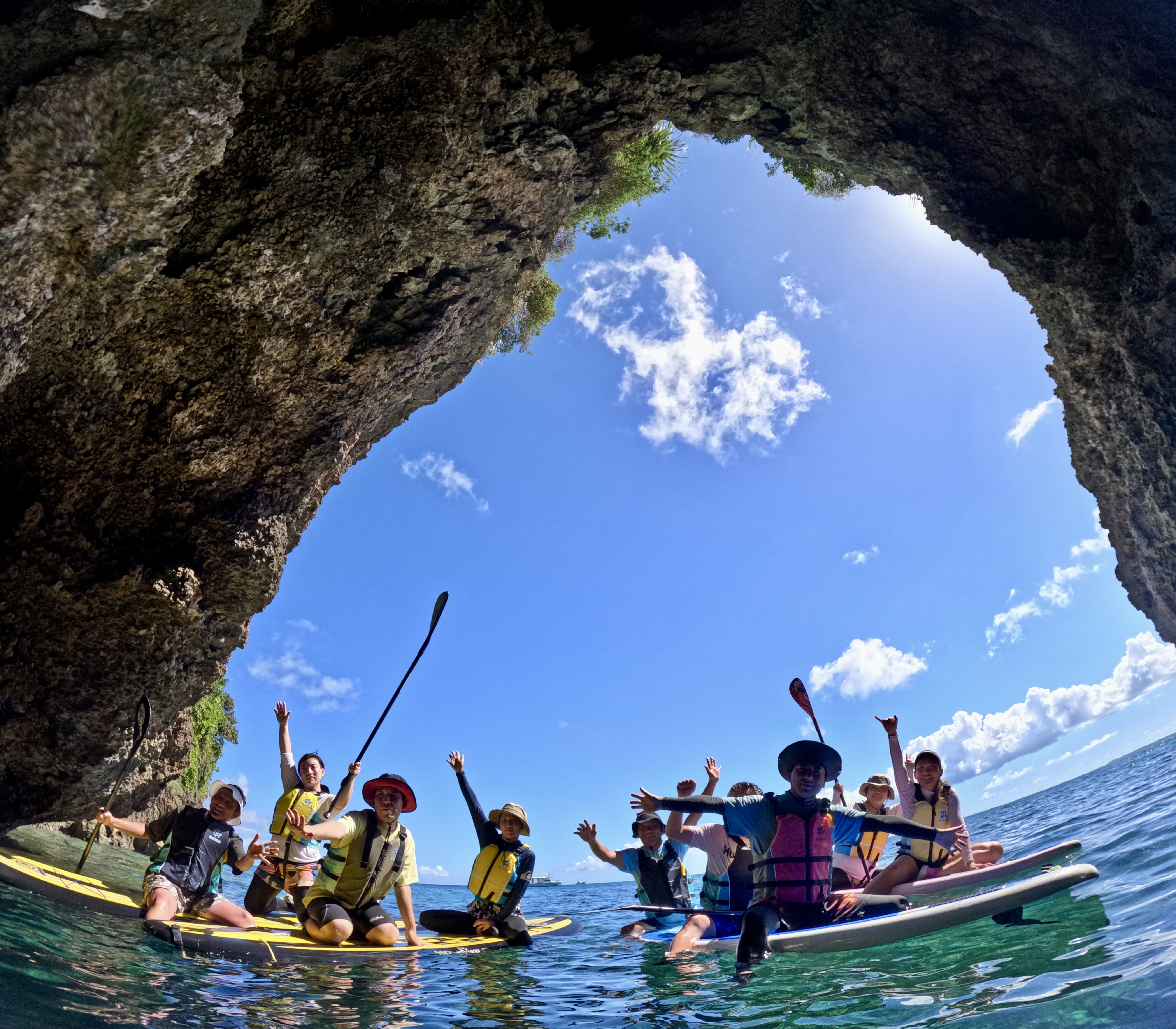 アクティビティ