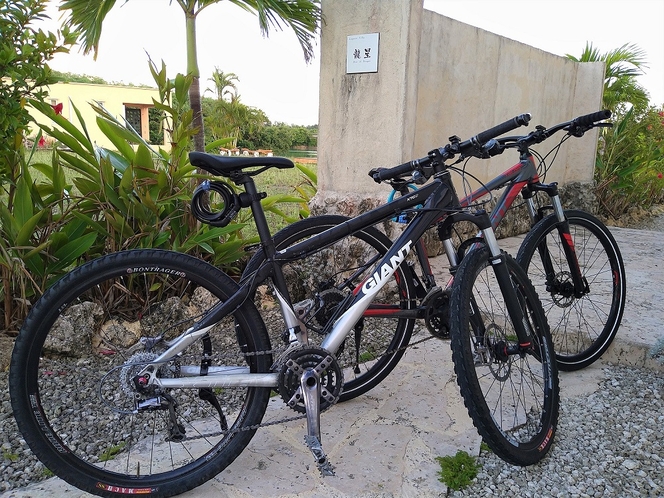 自転車（マウンテンバイク）2台　有料