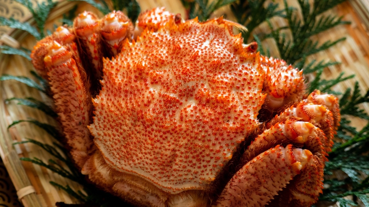 【開業10周年記念】毛蟹の饗宴＆お迎えタクシー付き！贅沢アニバーサリー（夕朝食：炉端付バイキング）