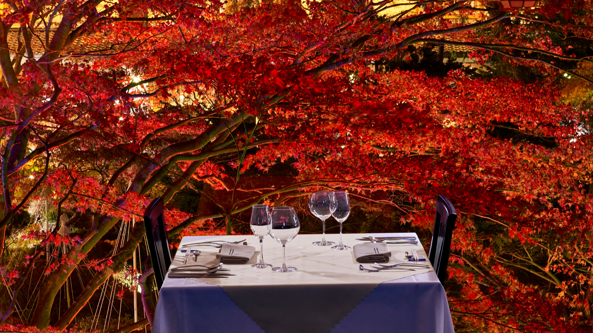 【函館銀座軒】紅葉の時期の庭園はライトアップされ、幻想的な雰囲気に変わります。