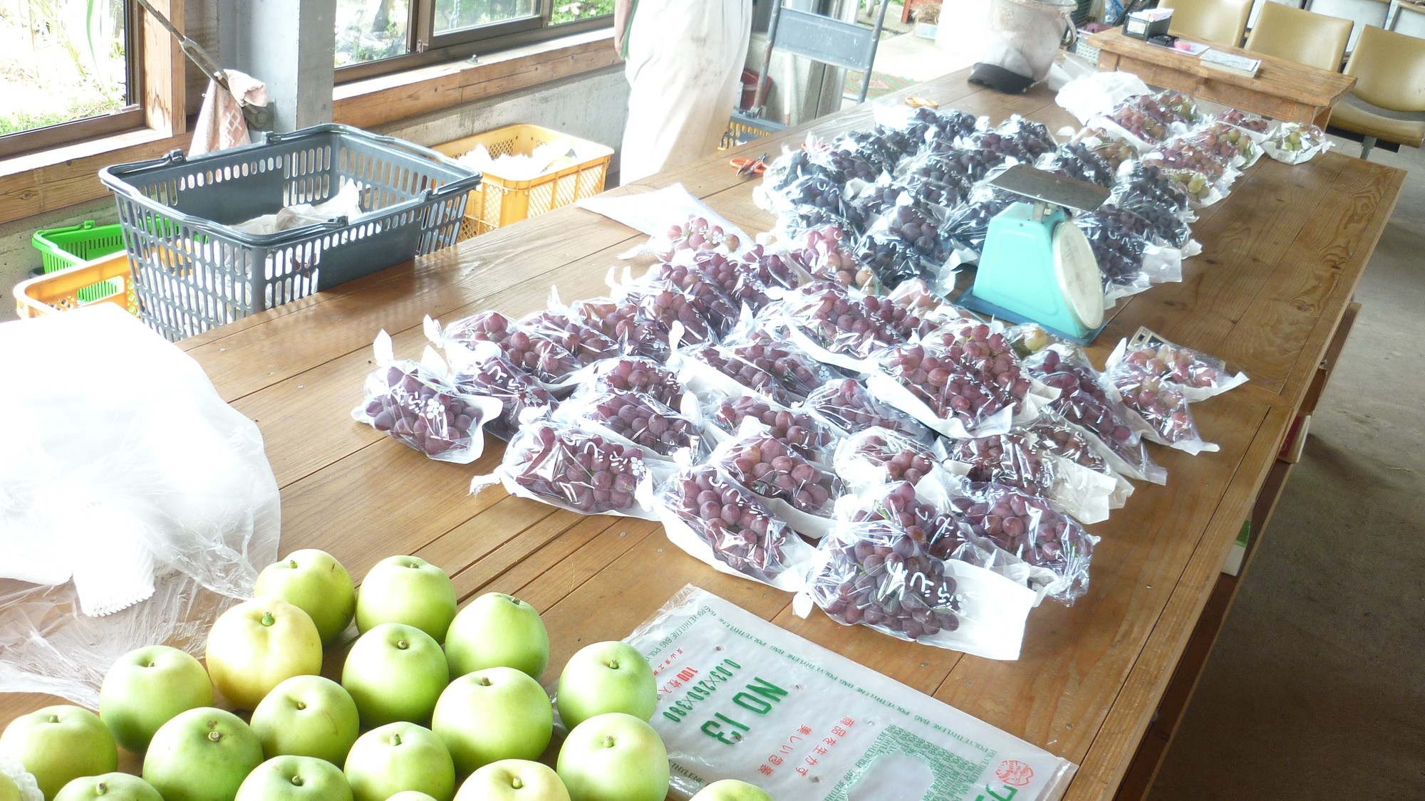 都農町観光果樹園