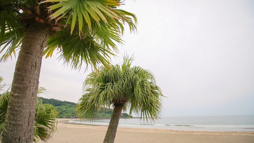 *アクティビティ（富土海水浴場）4