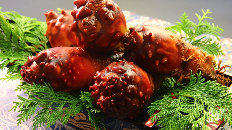 期間限定《ホヤづくしプラン》三陸名物！ぜひ一度は食べていただきたい、ホヤ料理のフルコース