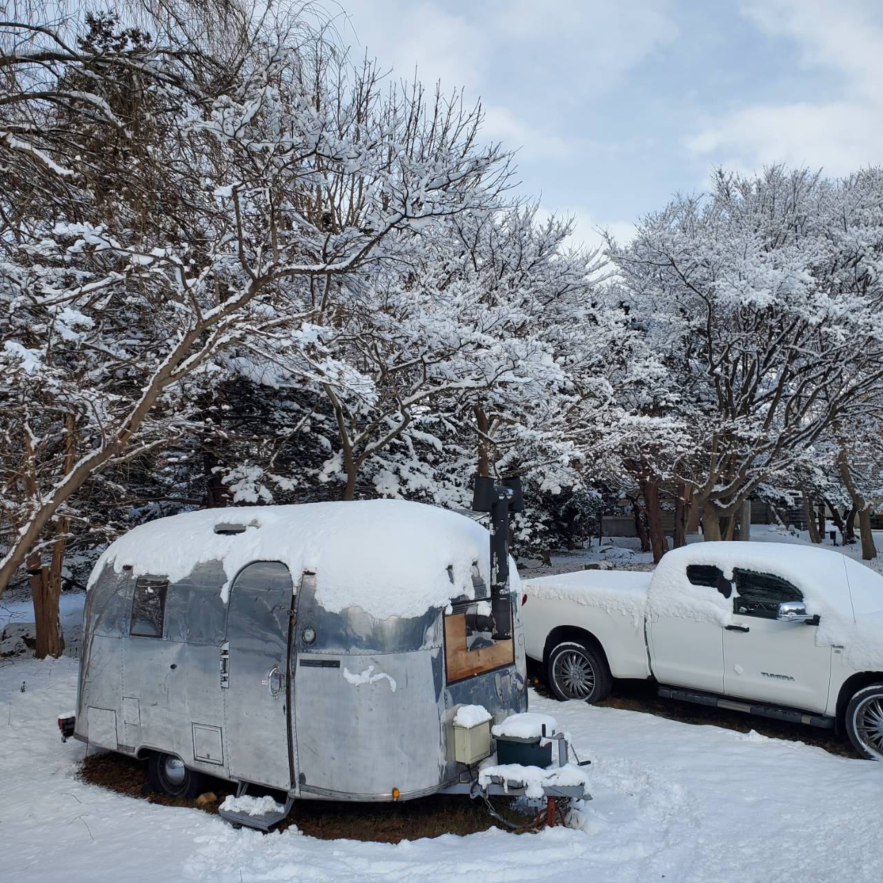 トレーラサウナ冬