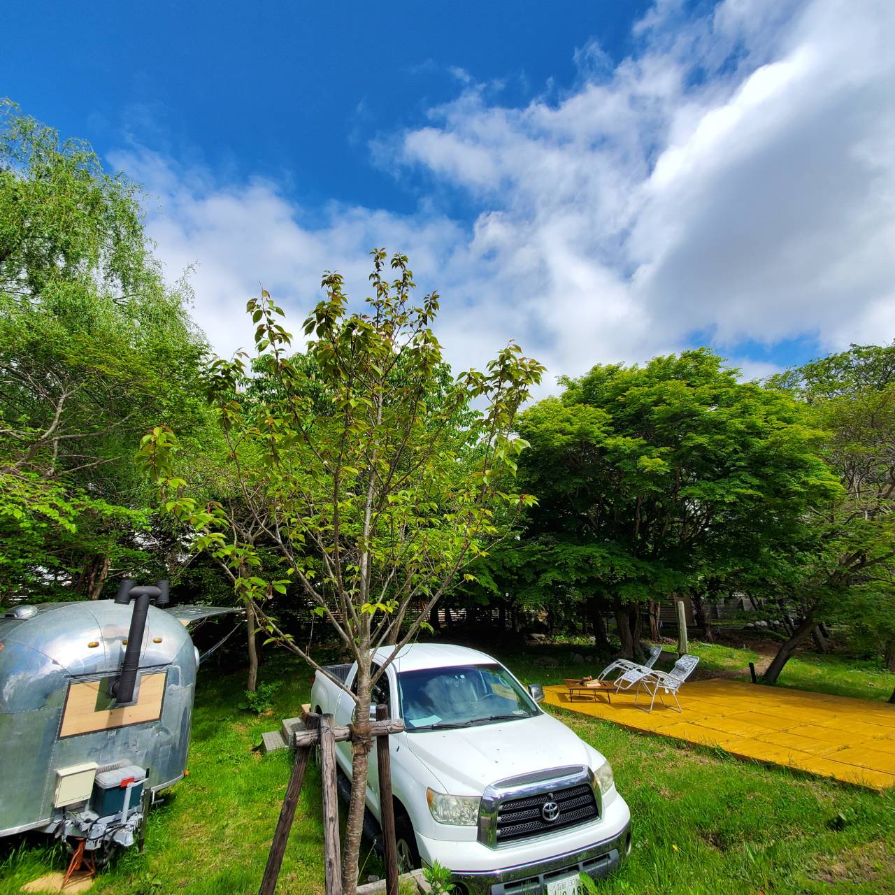 トレーラサウナ夏