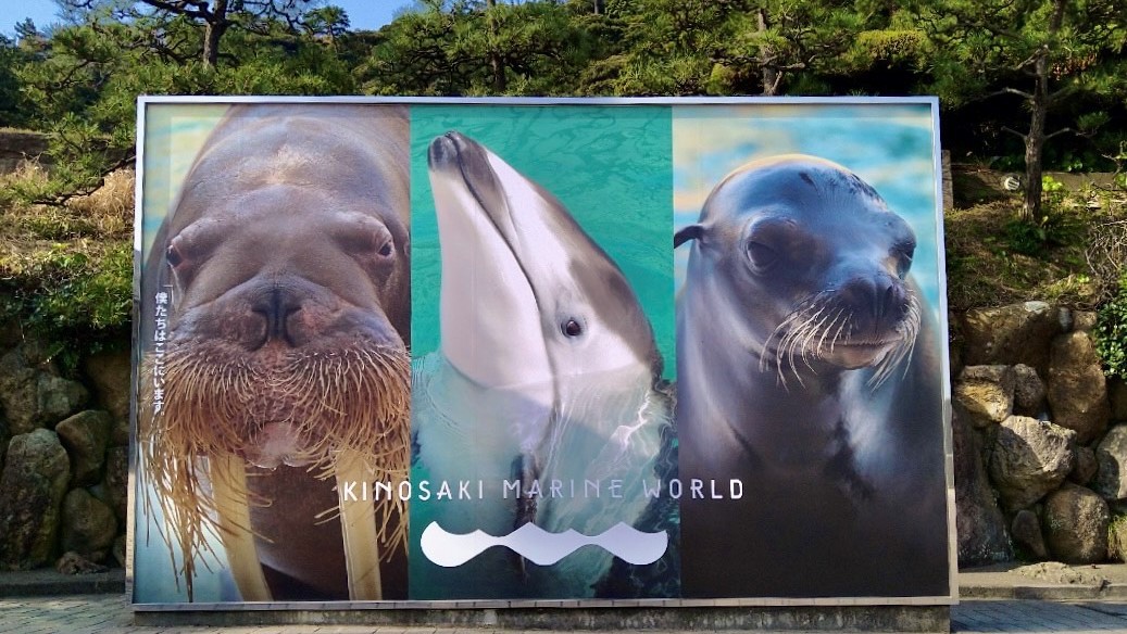 【楽天月末セール】地物で兵庫をまるっと楽しむ＜★スタンダード花栞プラン＞