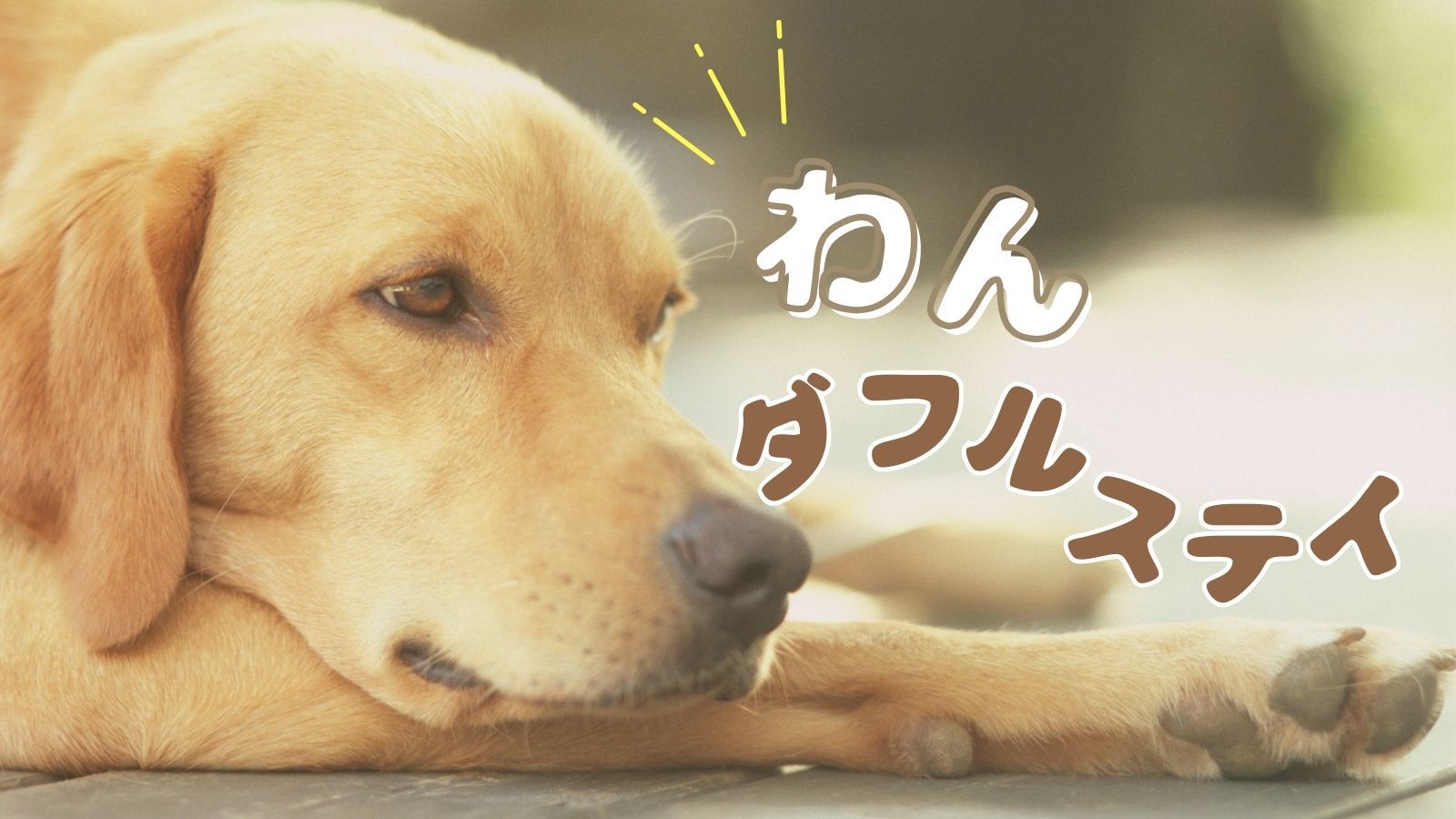 【お日にち限定×わんダフルステイ】最大10％オフ／室数限定のお得なプラン＜朝食のみ＞