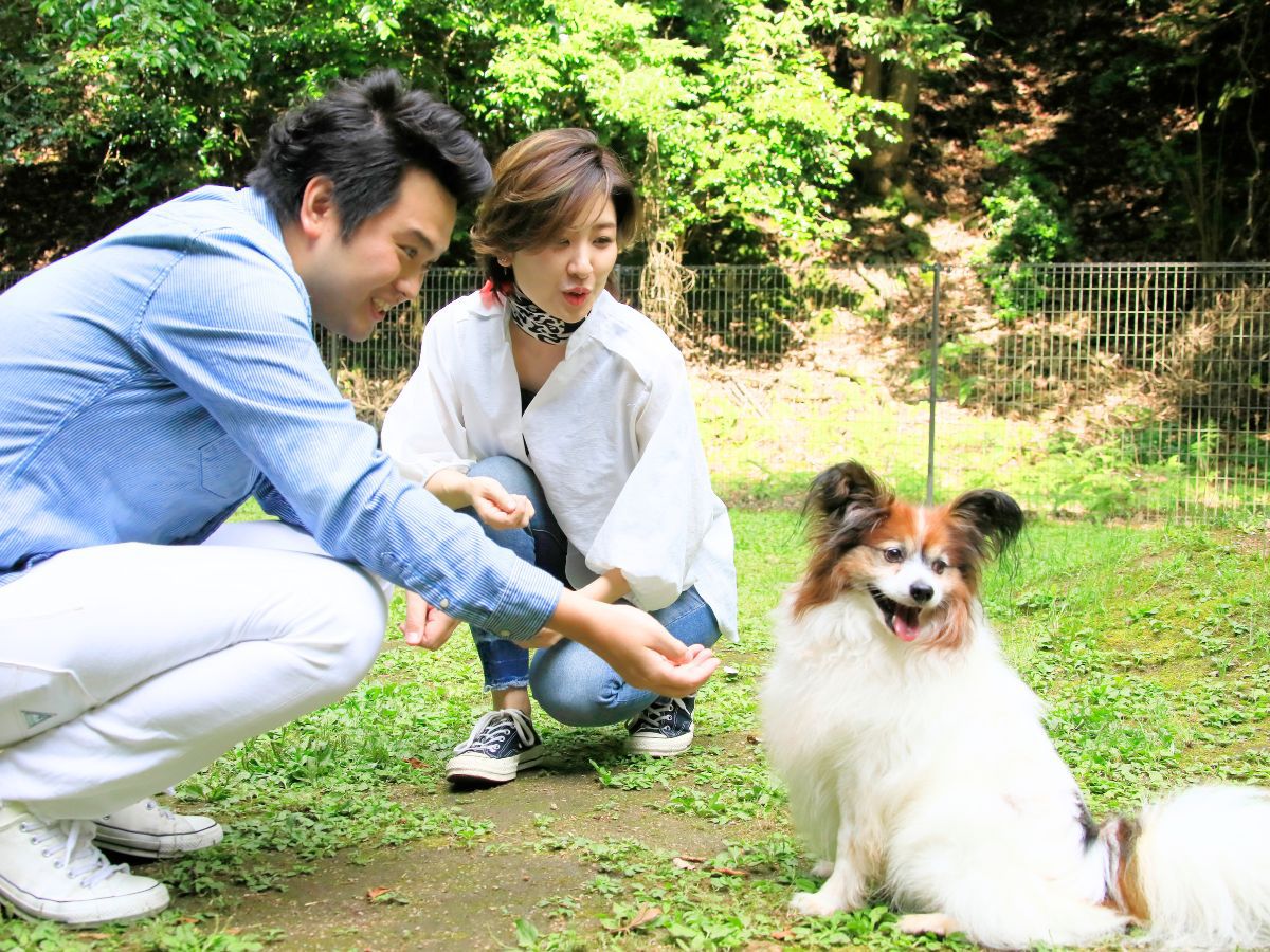 【素泊まり×わんダフルステイ】愛犬と泊まる城崎／自由気ままな温泉旅を＜食事なし＞