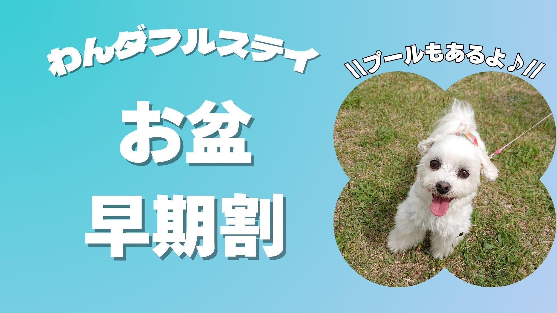【お盆早期割×+αの楽しみ／わんダフルステイ】最大5500円OFF＜★アップグレード花栞プラン＞