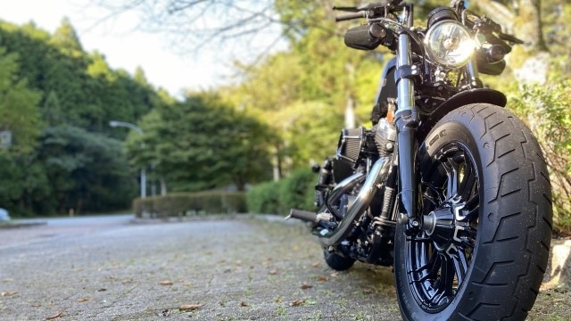 【夕食のみ】早朝出発や朝はゆっくりの方へ／自由に楽しむ夕食のみプラン＜◆白いか御膳＞