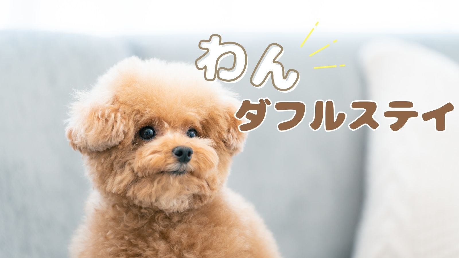 【スタンダード×わんダフルステイ】愛犬と泊まる城崎／当館1番人気＜★スタンダード花栞プラン＞