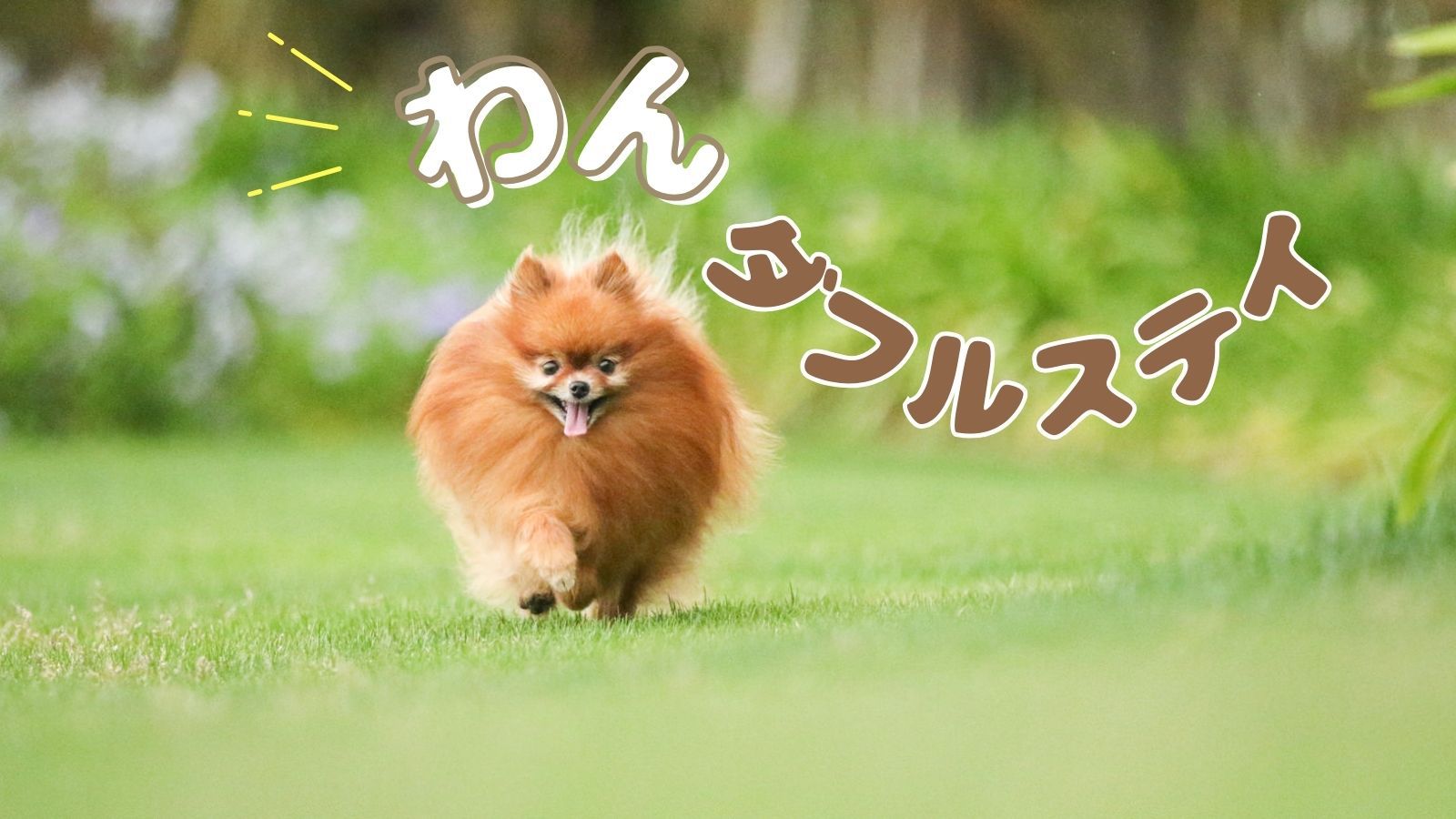 【朝食付き×わんダフルステイ】愛犬と泊まる城崎／優しい味の和食御膳で心ほぐれる旅を＜朝食のみ＞