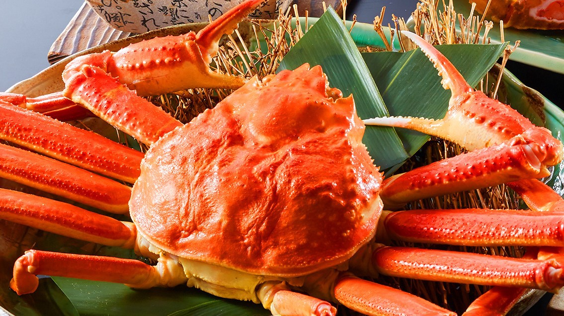 カニ料理が堪能できるペットと泊まれる宿特集 トラベルドッグ Jp カニ料理が堪能できるペットと泊まれる宿特集 トラベルドッグ Jp