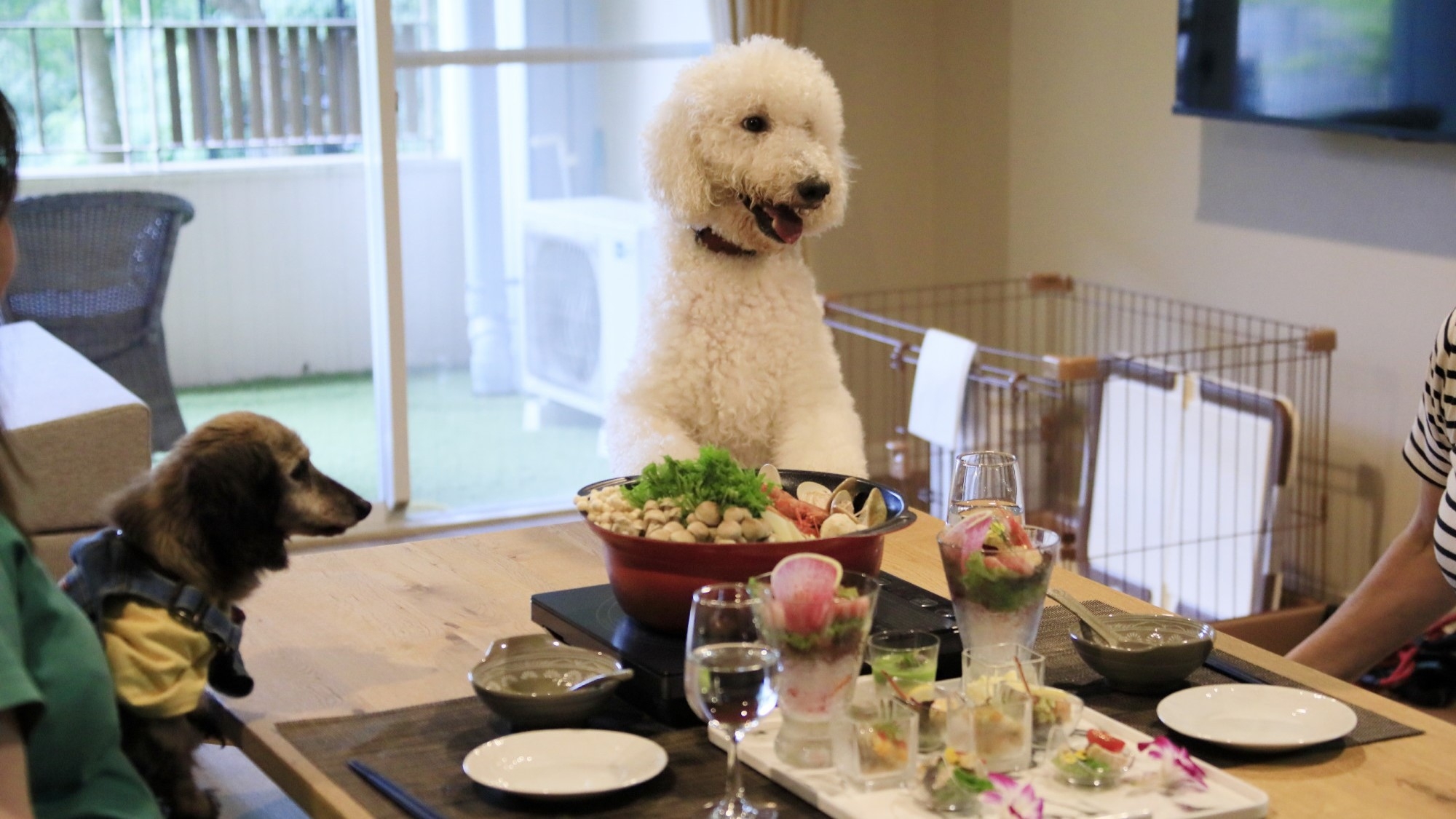 【早期割30】【愛犬OK】最大6，600円オフ｜但馬牛を主役に、旬の恵みを贅沢に味わう＜プレミアム＞