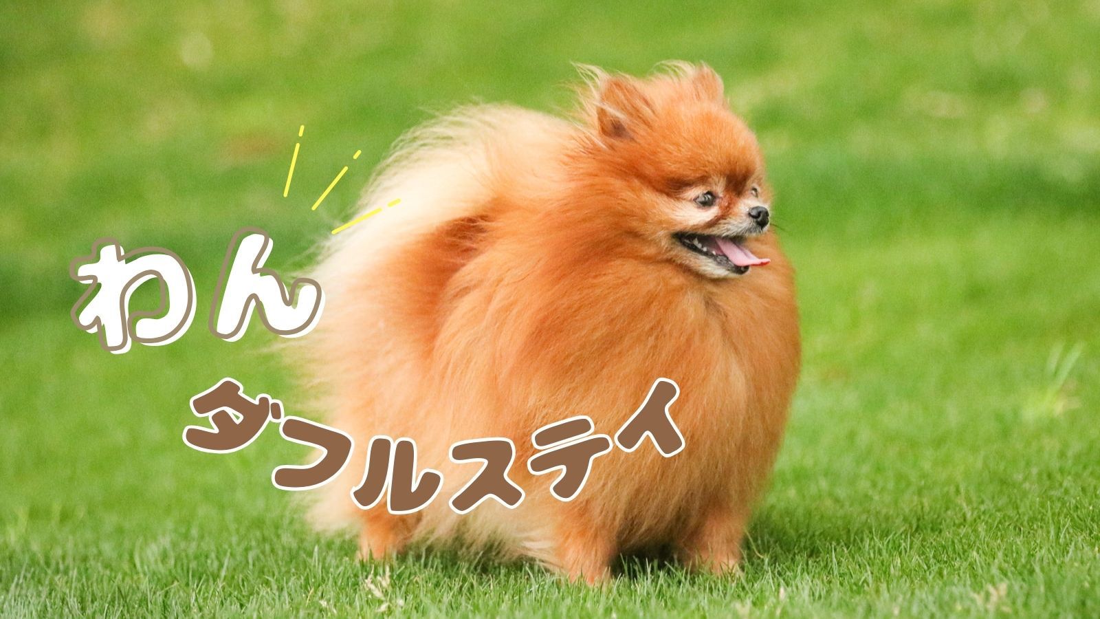 【+αの楽しみ×わんダフルステイ】愛犬と泊まる城崎／夕食W特典付き＜★アップグレード花栞プラン＞