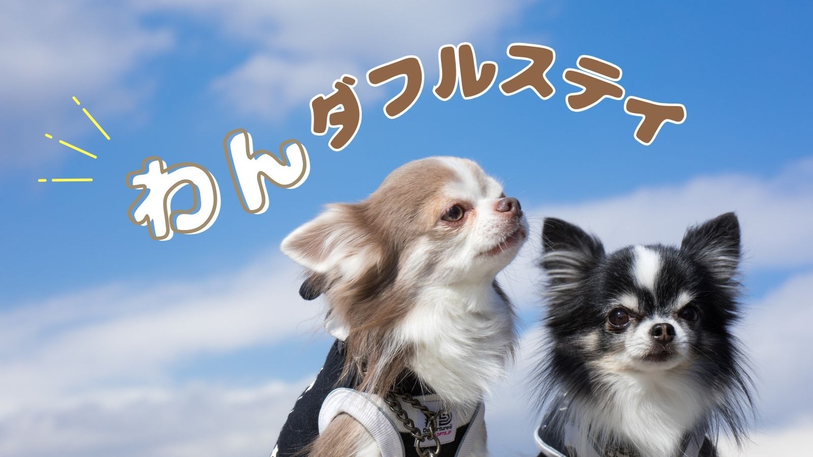 【素泊まり×わんダフルステイ】愛犬と泊まる城崎／自由気ままな温泉旅を＜食事なし＞