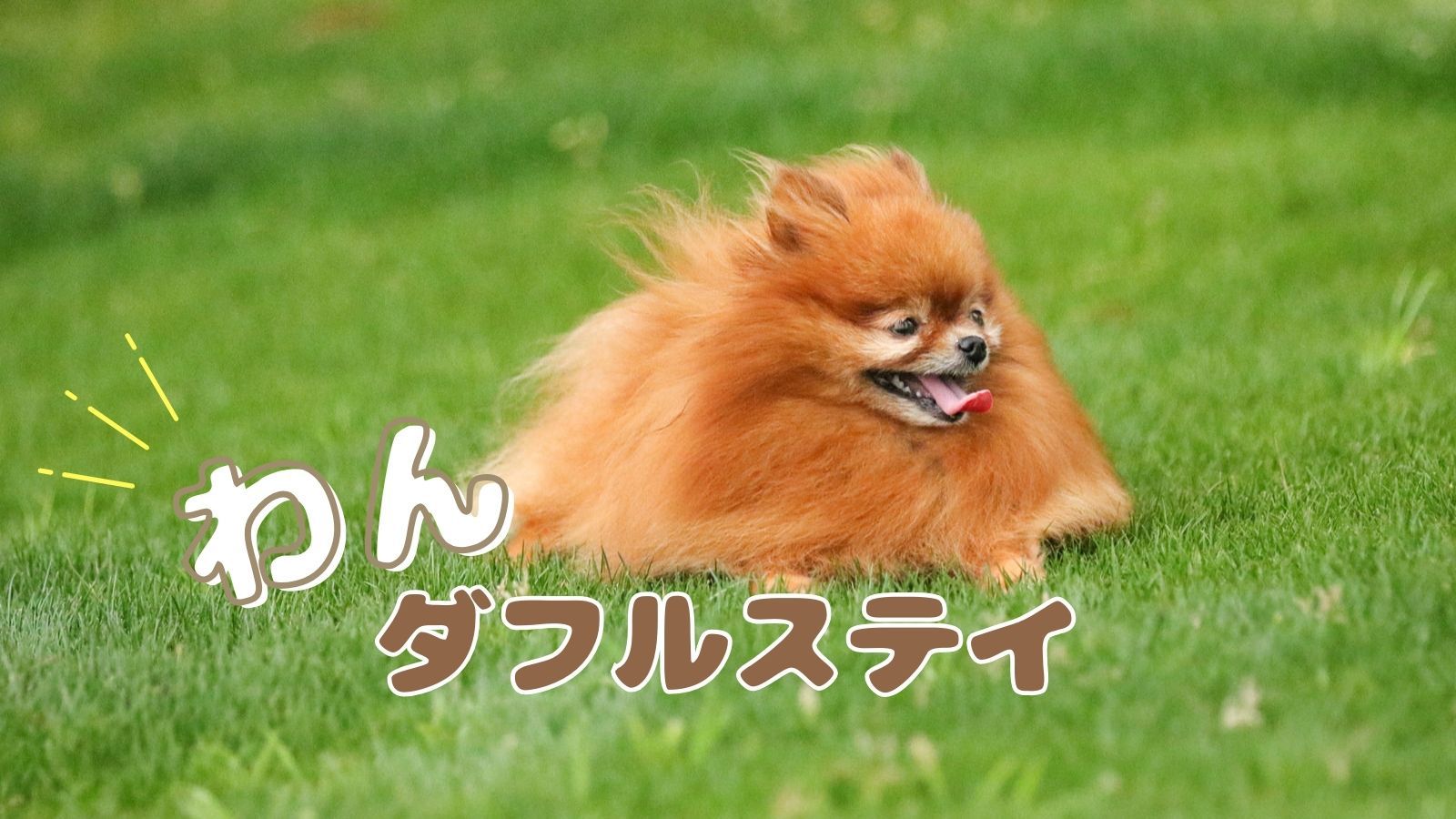 【カジュアルプラン×わんダフルステイ】愛犬と泊まる城崎／陶板焼きで但馬牛を堪能＜▼美味少量御膳＞