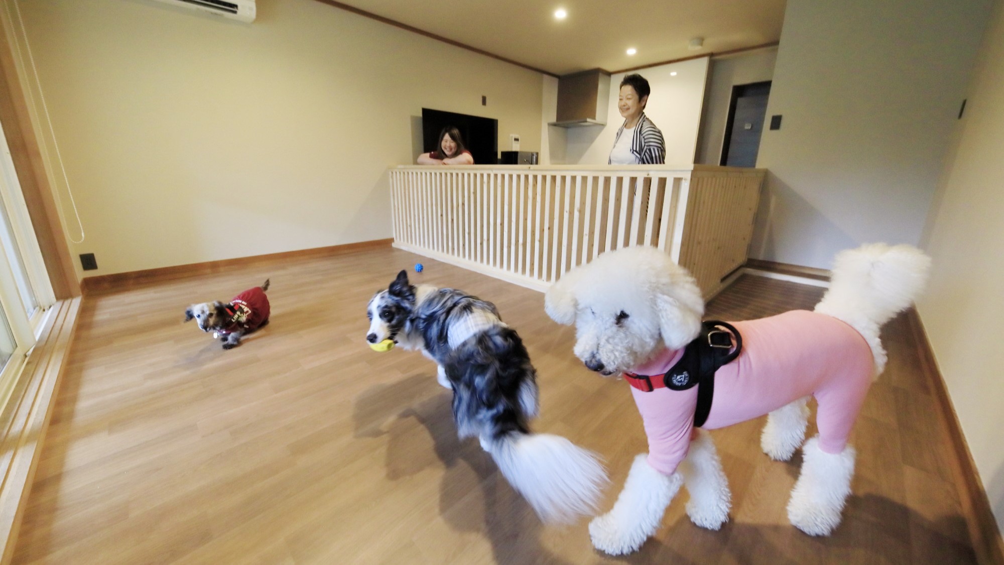 雨の日は室内で、晴れの日はお庭で、天候を気にせず愛犬とのびのび過ごせる特別なお部屋です