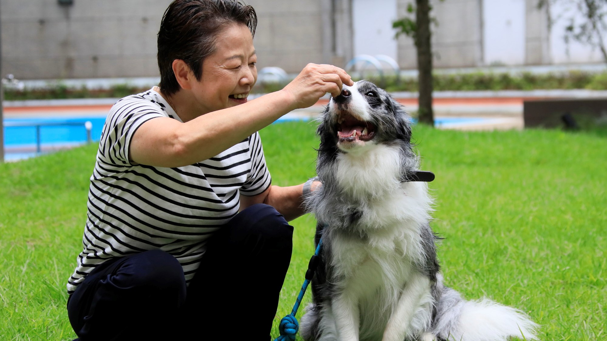 木々に囲まれたガーデンで、愛犬も笑顔になる休日。（一例）