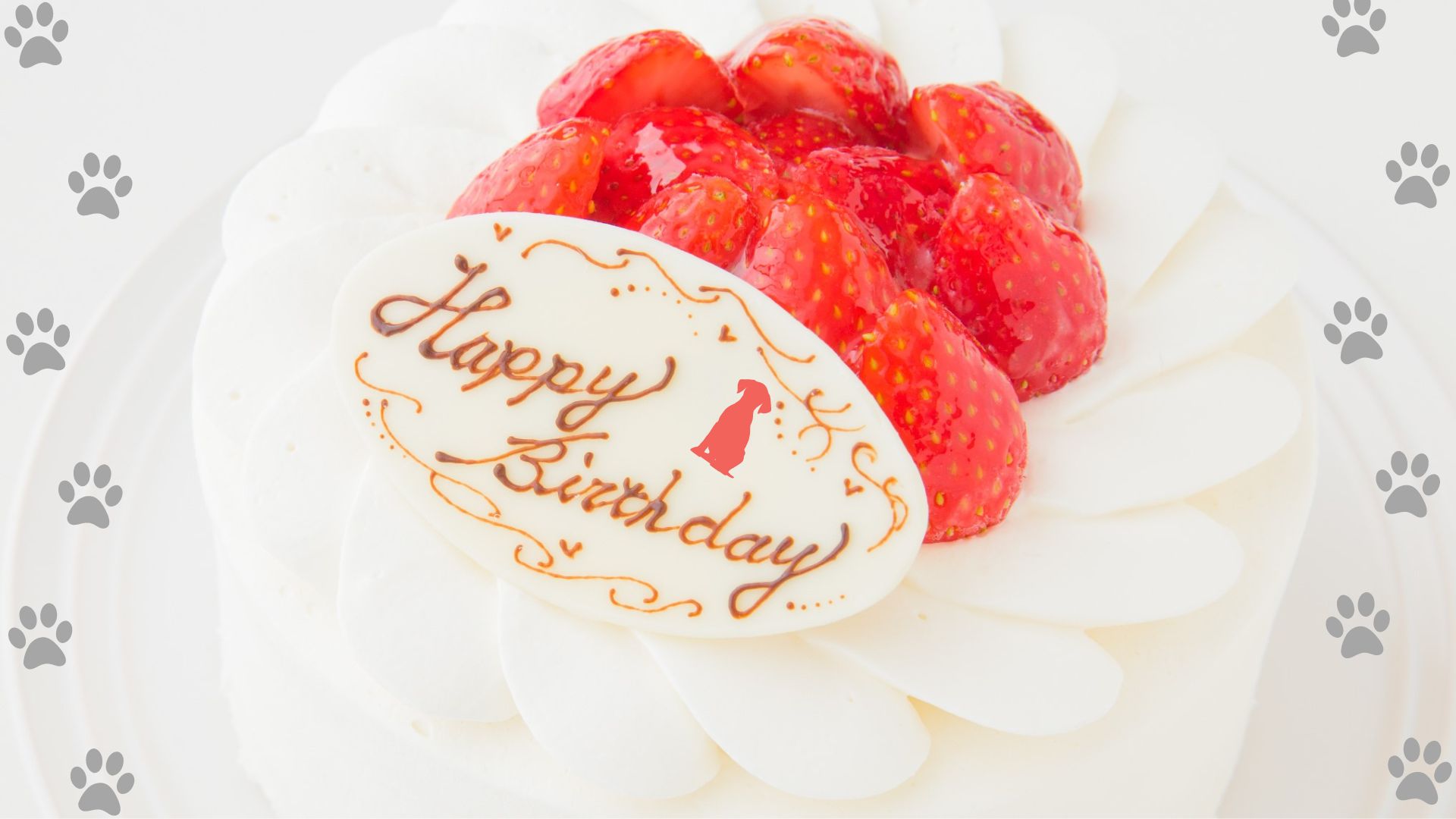 記念日やお祝いのケーキもご予約可能です。ワンちゃん用のケーキもご注文いただけます