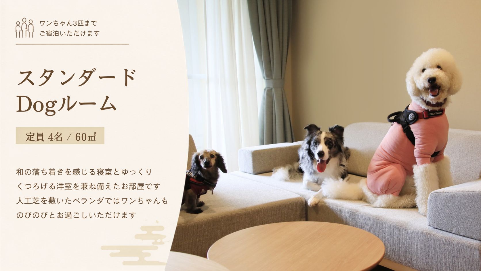 【スタンダードDogルーム】