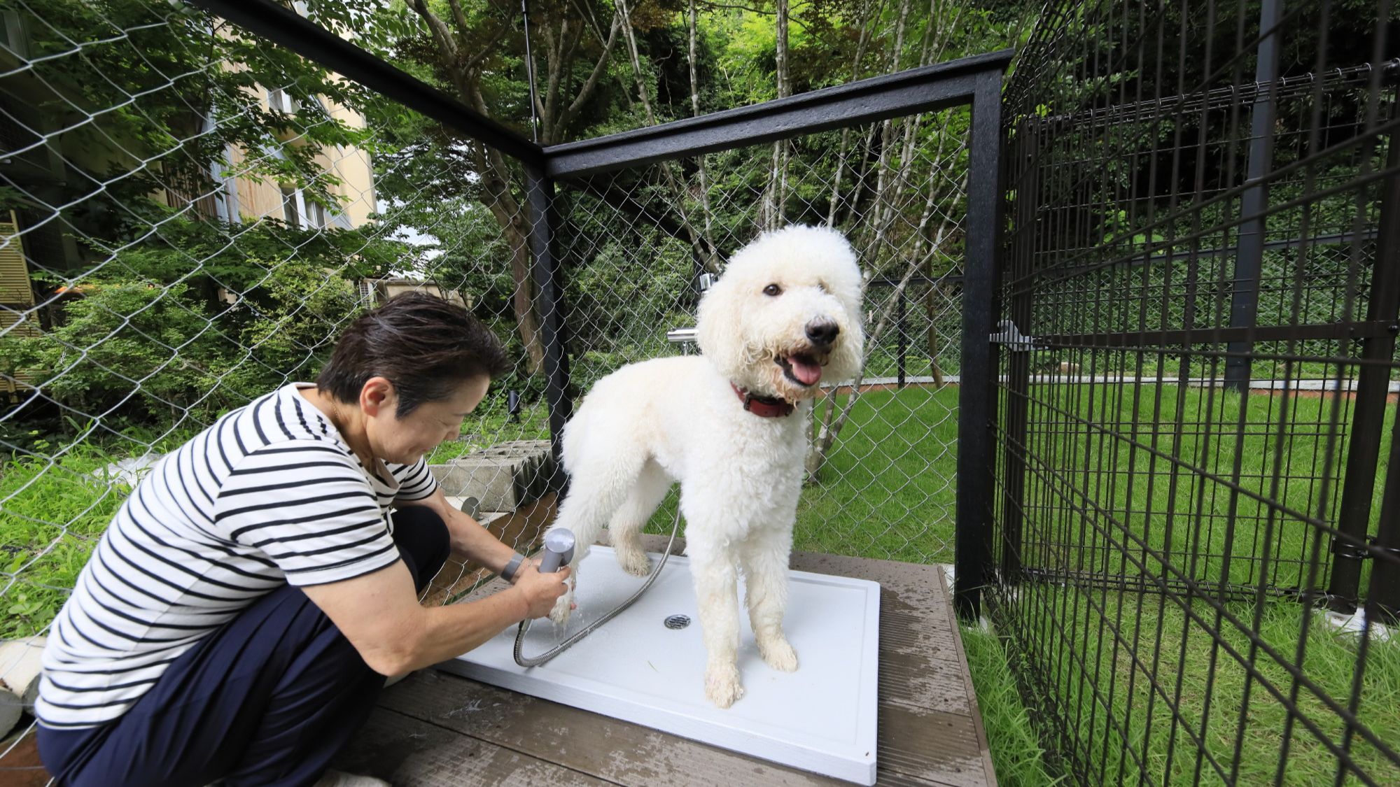 遊んだ後は、愛犬用の足洗い場で足元もすっきり。（一例）