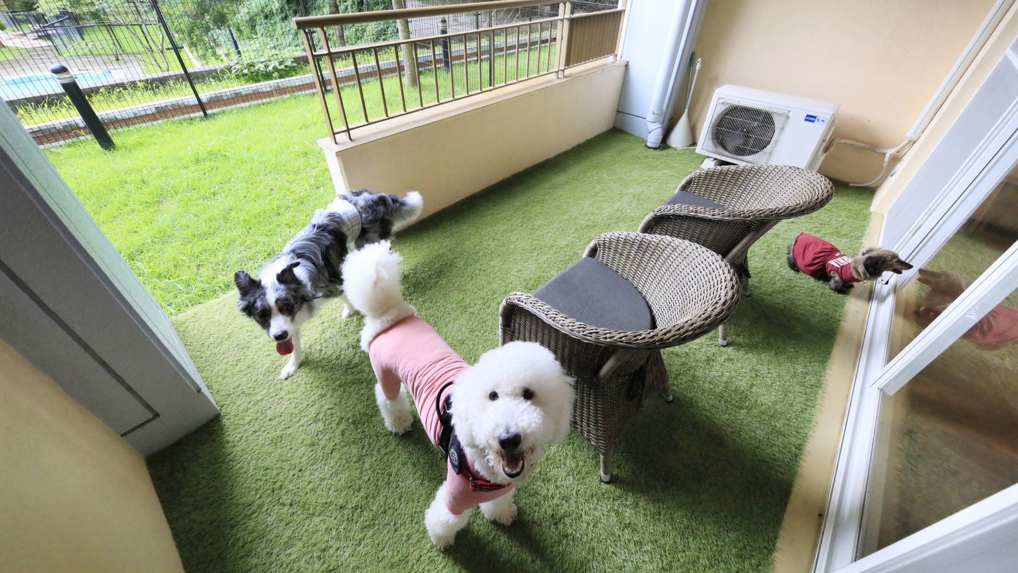 周りを気にせず、ワンちゃんと自由に遊べる特別な空間です