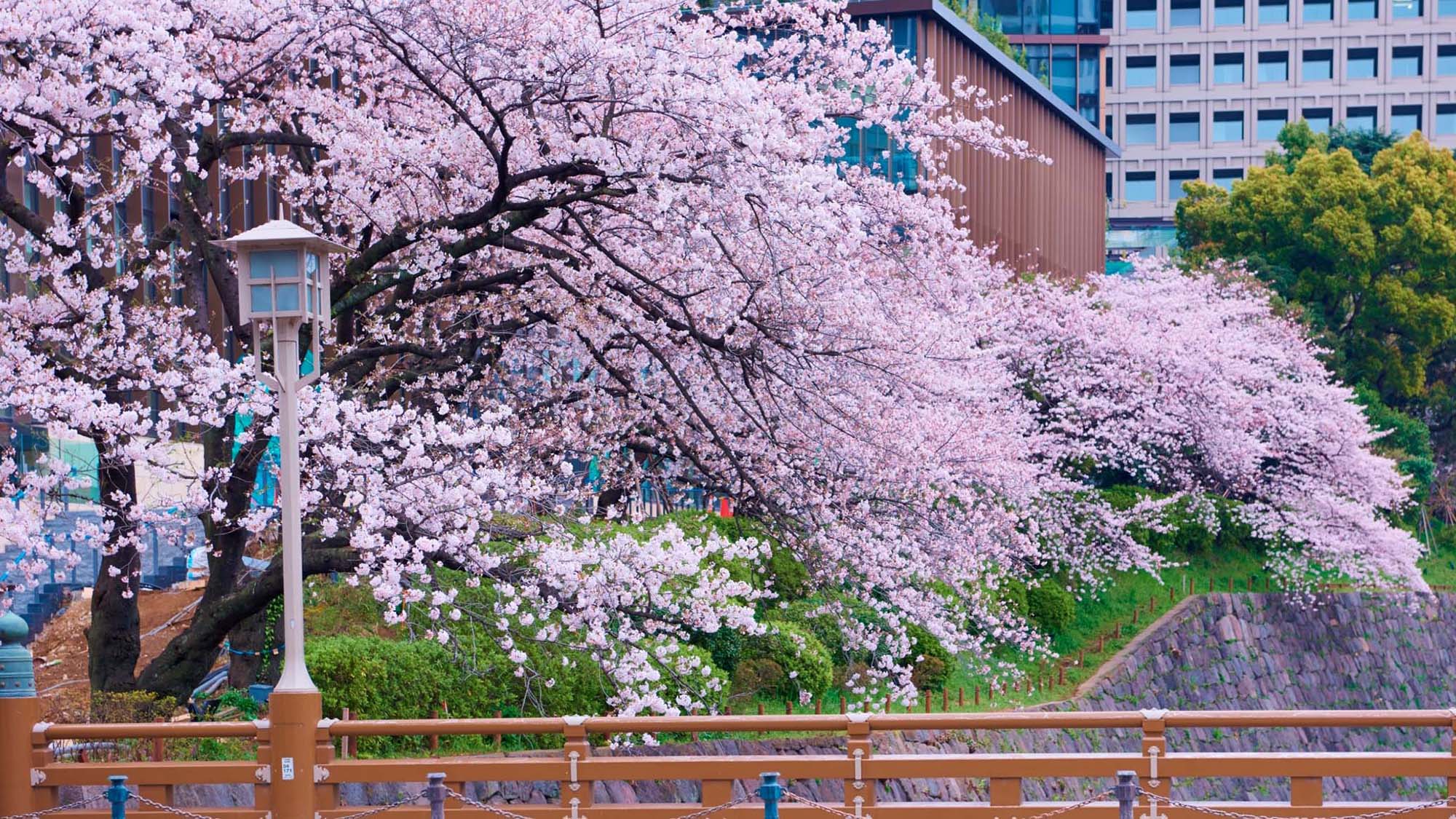 ザ・プリンスギャラリー 東京紀尾井町(眺望・庭園)