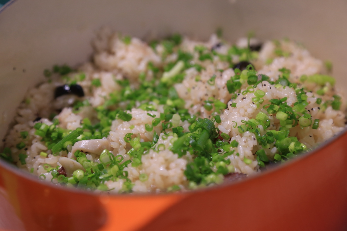 オーシャンビュー朝日の見える部屋　１泊２食プラン