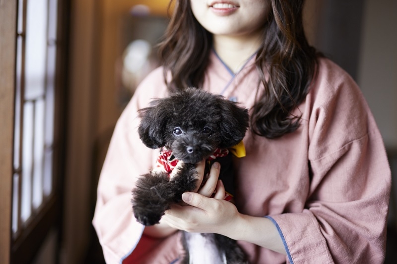 轟【WANの音】わんちゃんが主役★オーシャンビュー和洋室