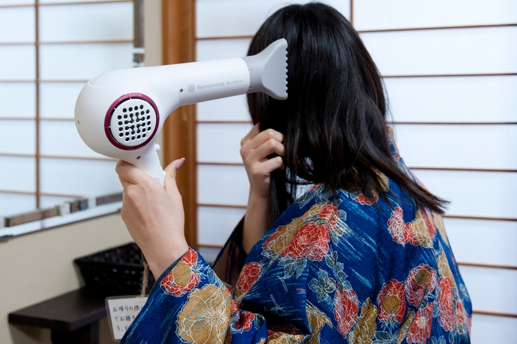 客室にはヘアビューザーのドライヤーを完備