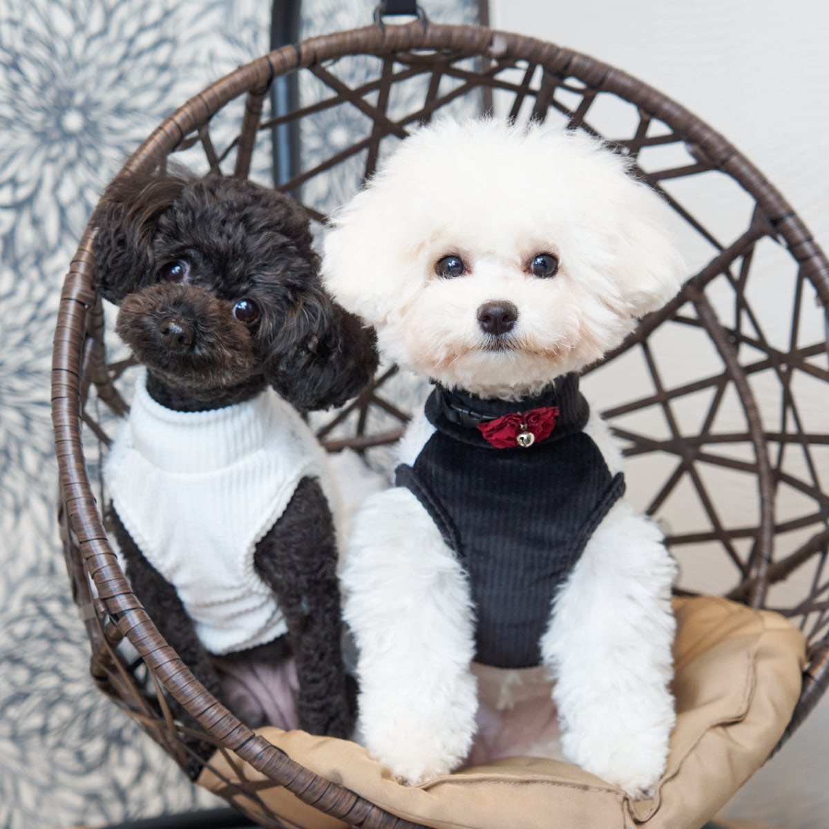 別棟【WANの音】