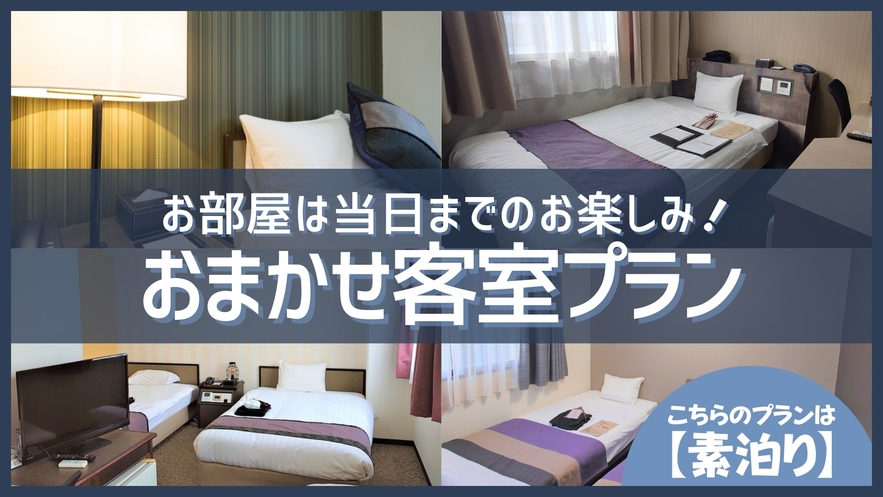 どのお部屋になるかはお楽しみ！お得ステイプラン【素泊り】