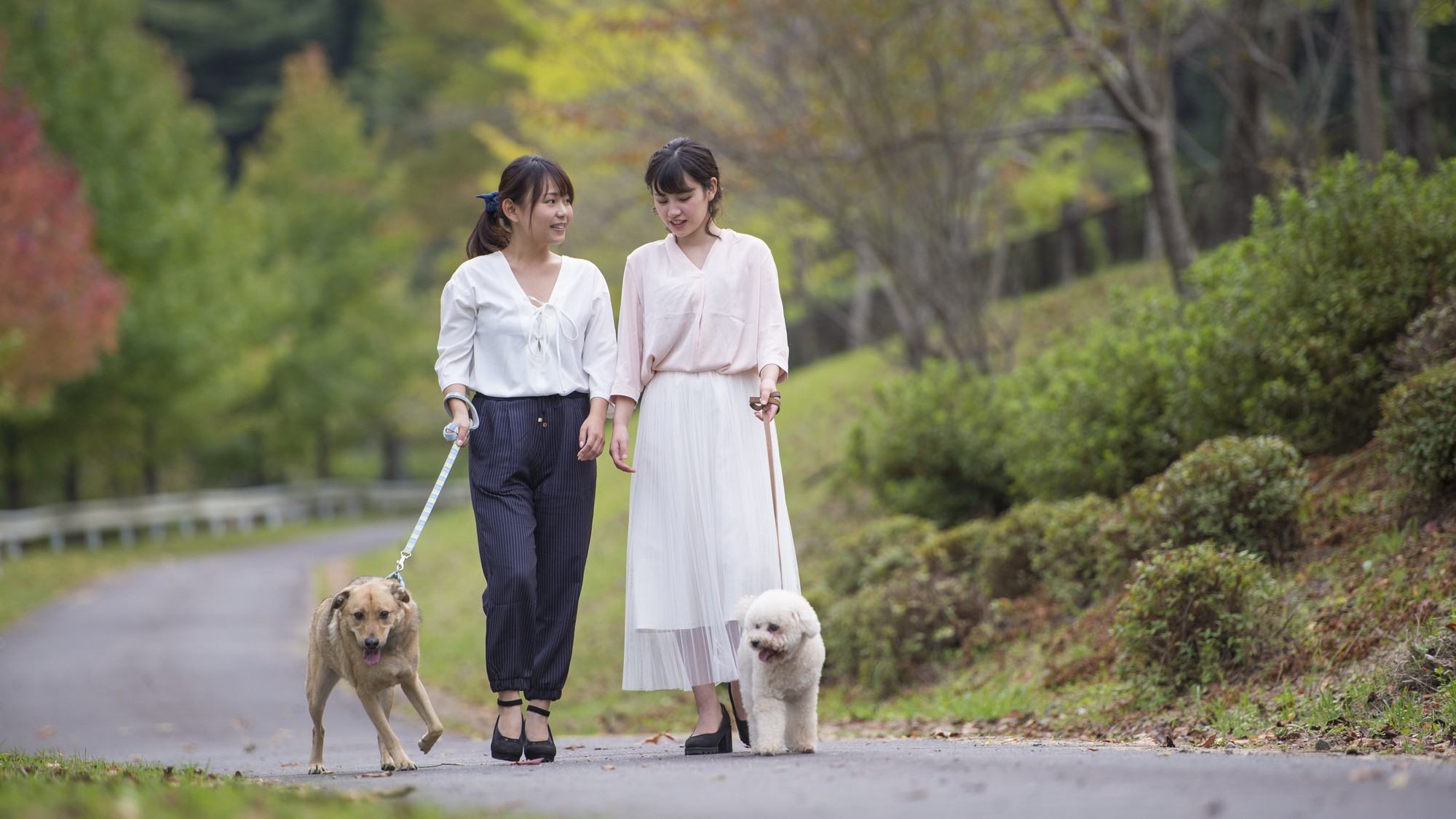 ≪食事なしプラン≫過ごし方自由なシンプルステイ