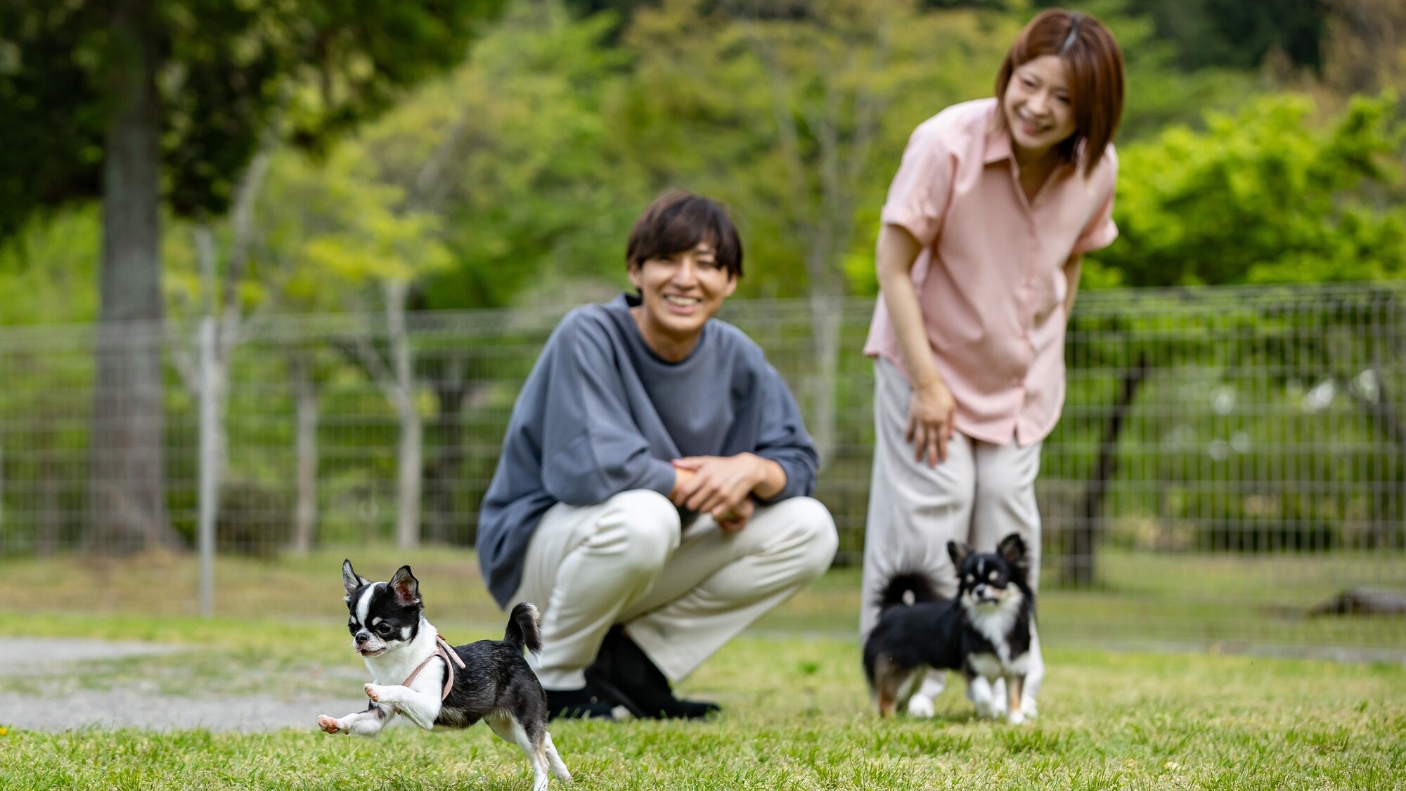 【花火セット付】夏休み川遊びデビューに！夜は家族で花火｜土地の恵み会席＜愛犬同伴歓迎＞
