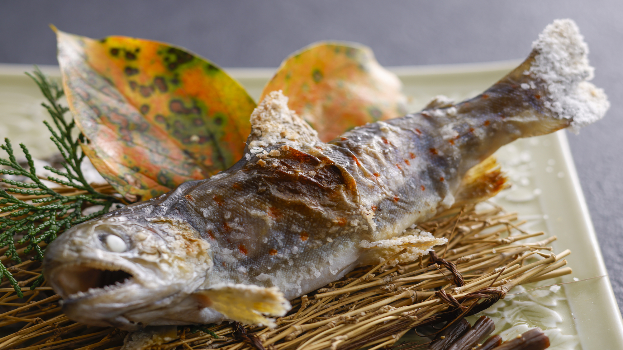 「特選会席」雨魚の塩焼き