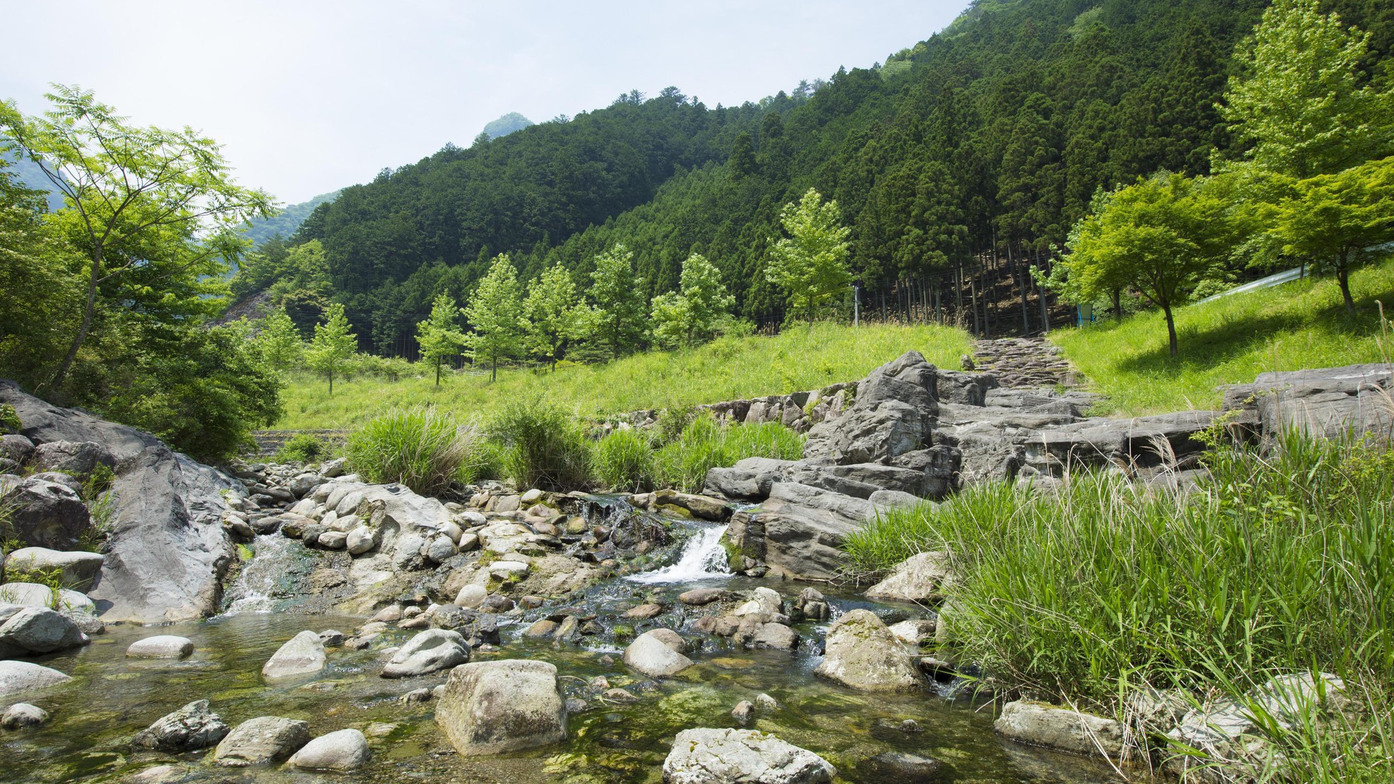 ホテル敷地内「河川公園」