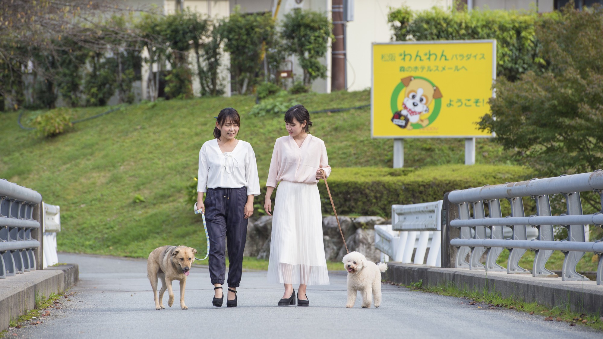 自然の景色を楽しみながらお散歩していただけます