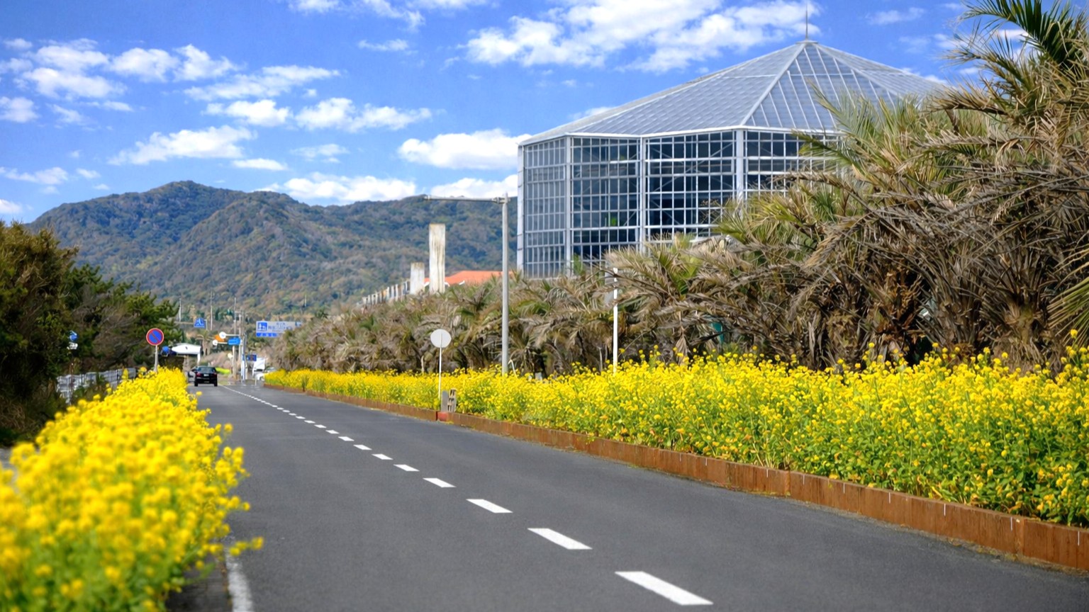 房総フラワーライン／車4分