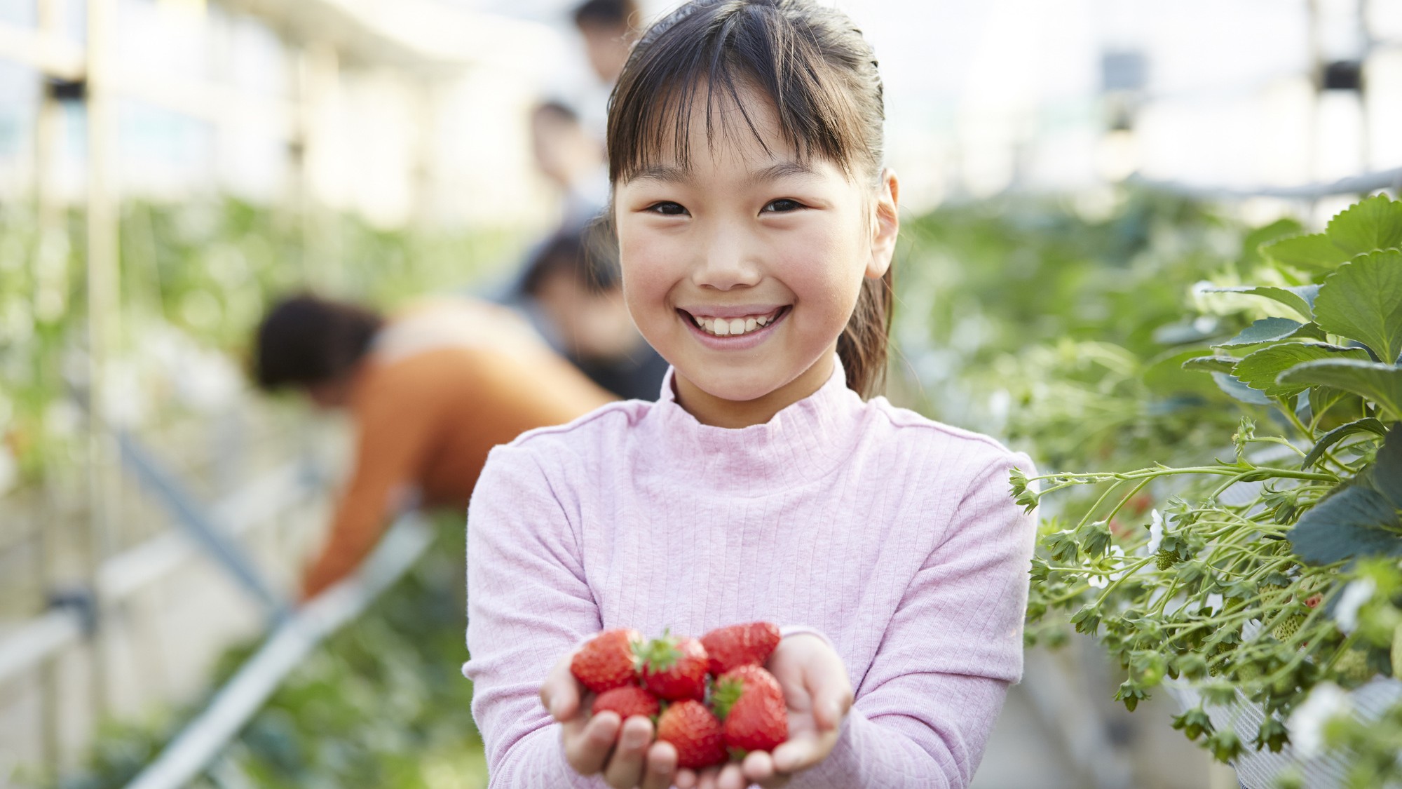 館山いちご狩りセンター／車20分