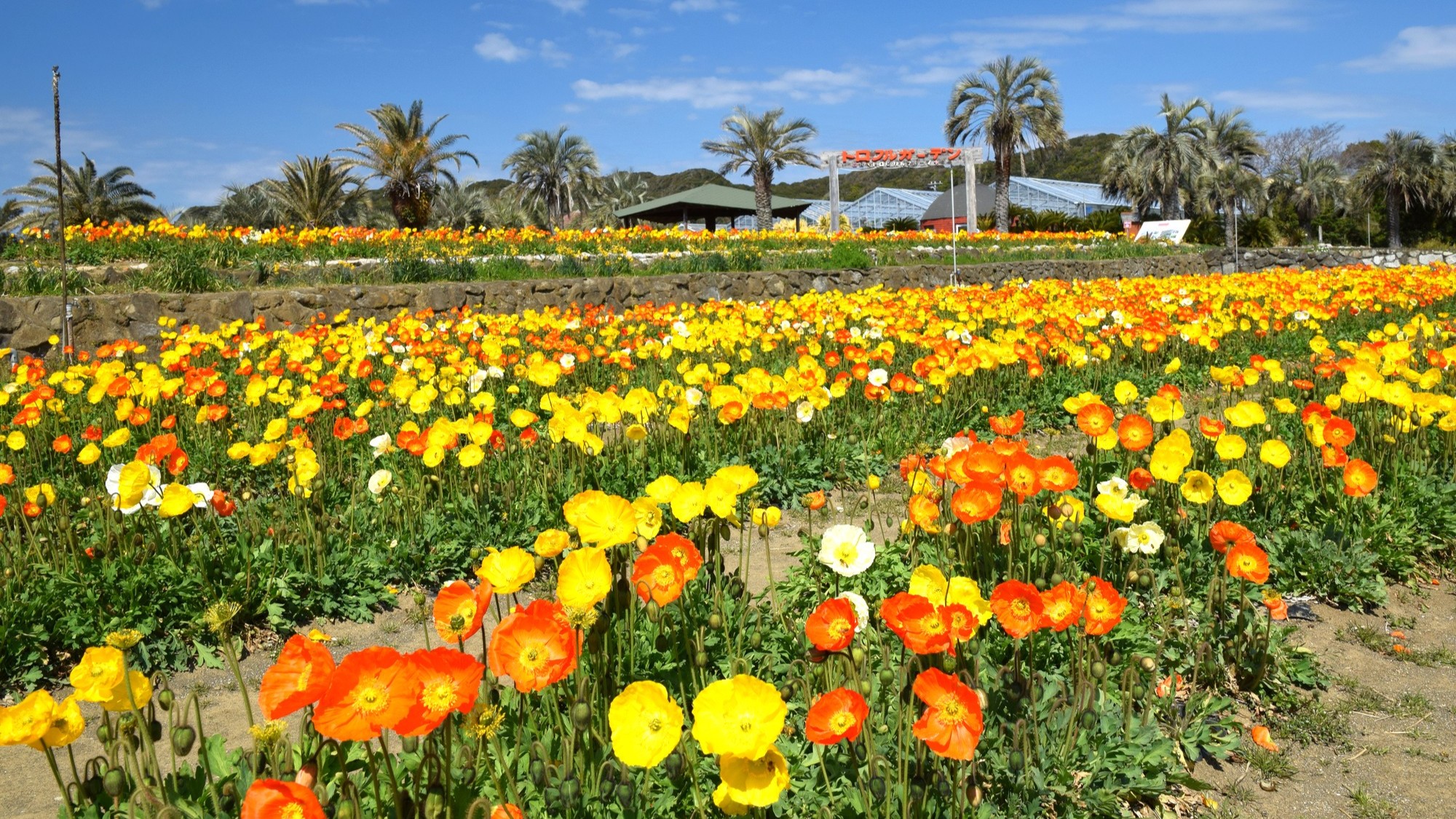 館山ファミリーパーク／車3分