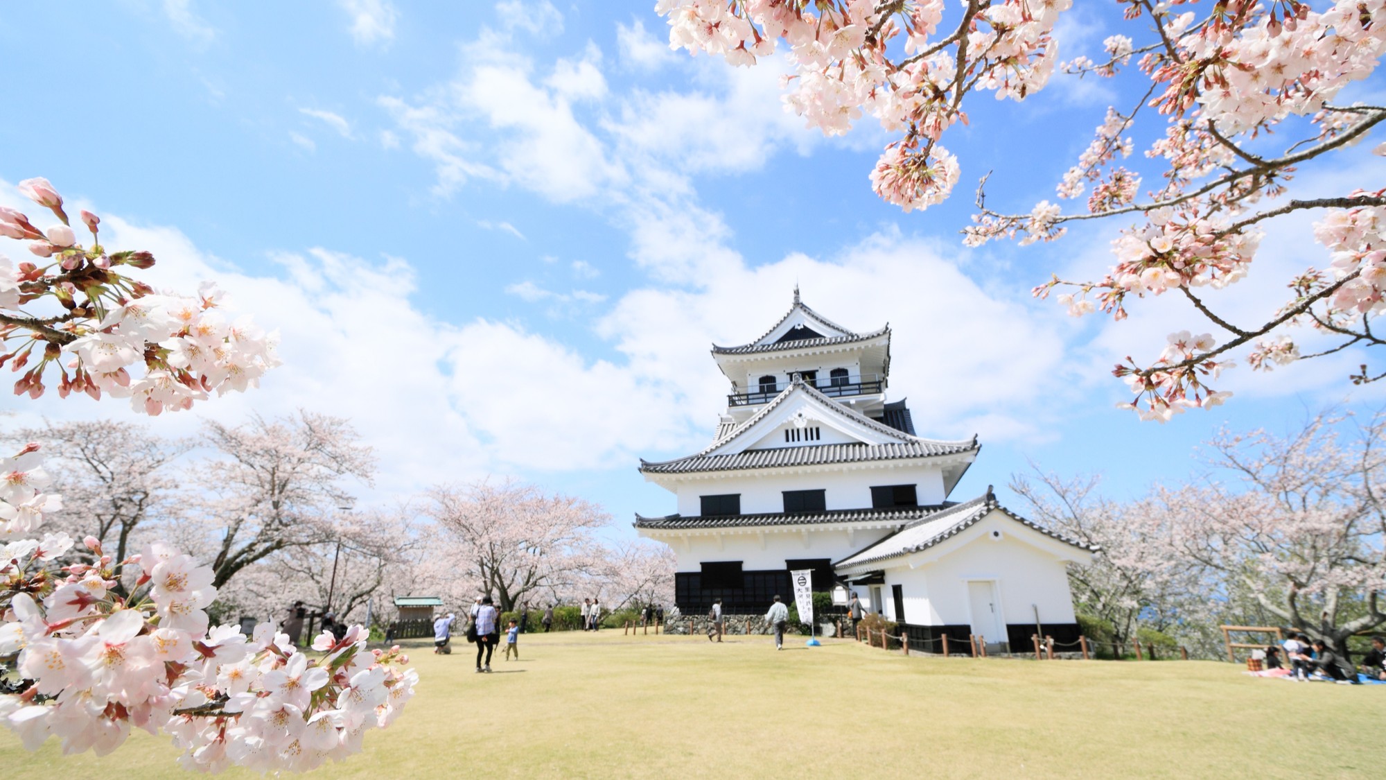 館山城（城山公園）／車17分
