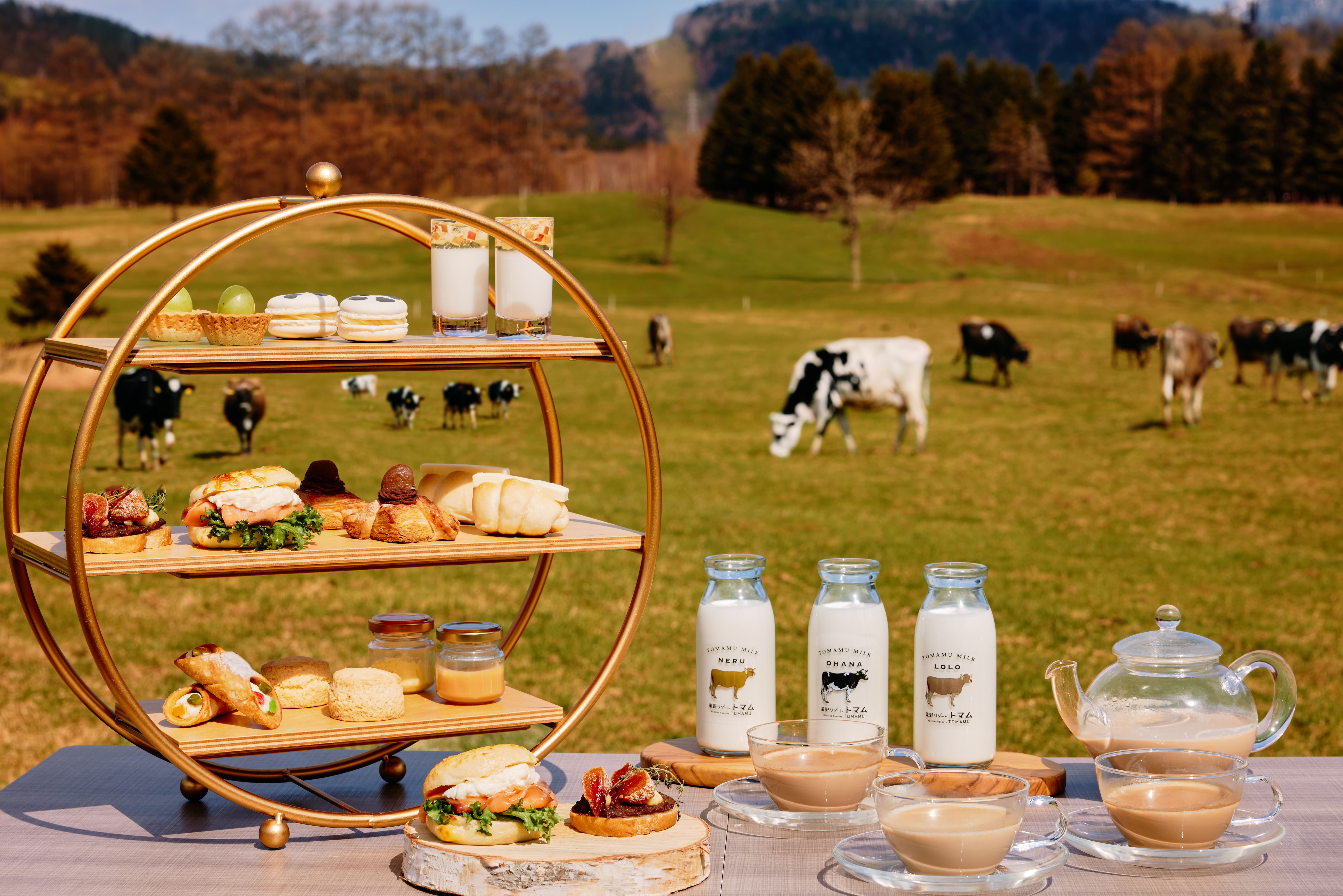 【トマム】ファームアフタヌーンティー