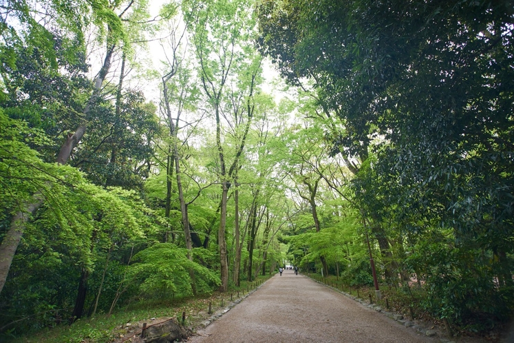 Green Kyoto1