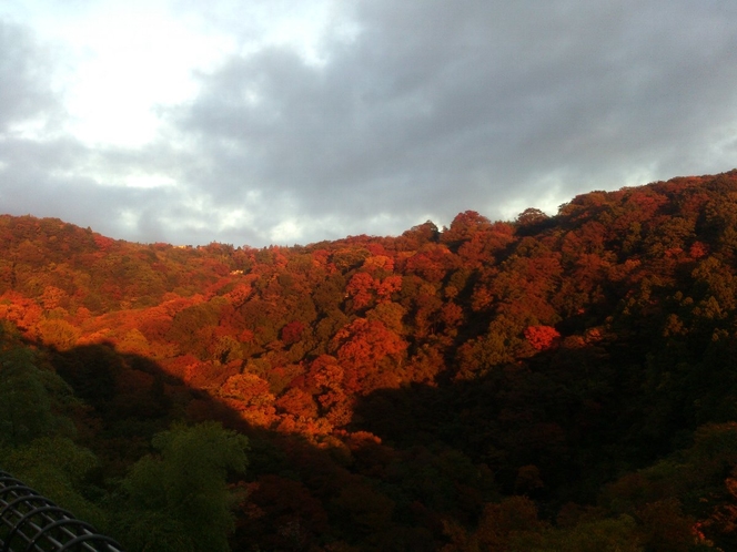 朝焼けに映える近隣の紅葉 20161112