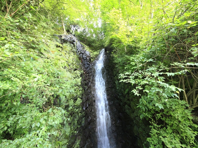 白鷺の滝　＊風神の湯の露天風呂から一部が見えます